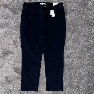 Lane Bryant Women's Dark Blue Jeggings Size 14